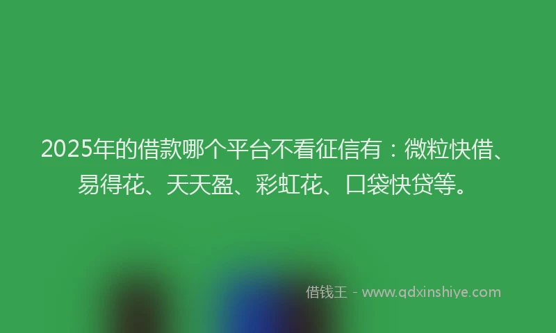 2025年的借款哪个平台不看征信有：微粒快借、易得花、天天盈、彩虹花、口袋快贷等。