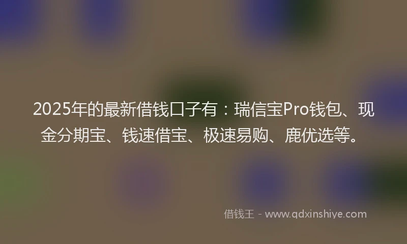 2025年的最新借钱口子有：瑞信宝Pro钱包、现金分期宝、钱速借宝、极速易购、鹿优选等。