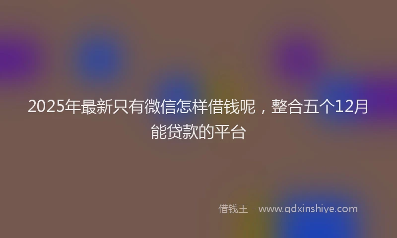 2025年最新只有微信怎样借钱呢，整合五个12月能贷款的平台