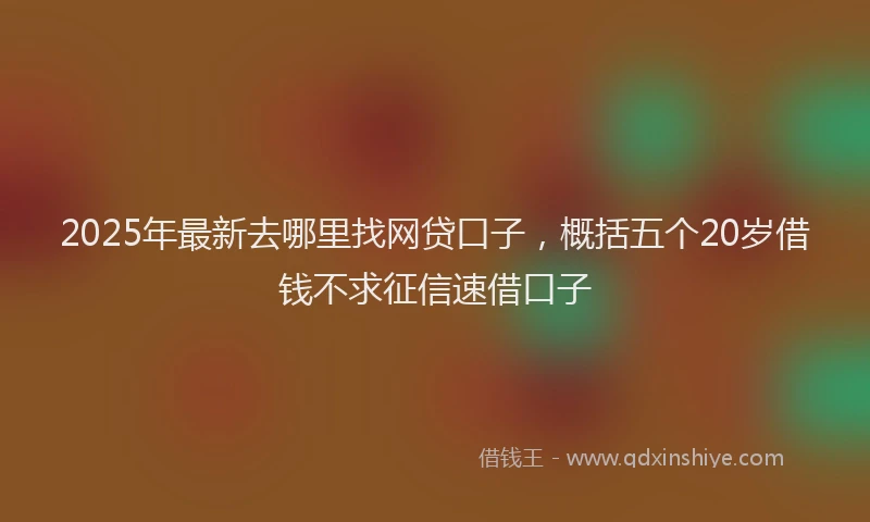 2025年最新去哪里找网贷口子，概括五个20岁借钱不求征信速借口子