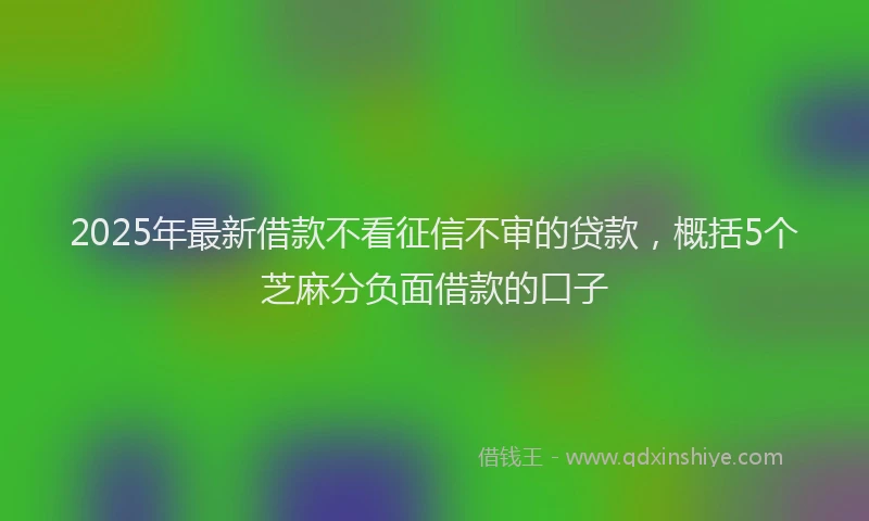 2025年最新借款不看征信不审的贷款，概括5个芝麻分负面借款的口子