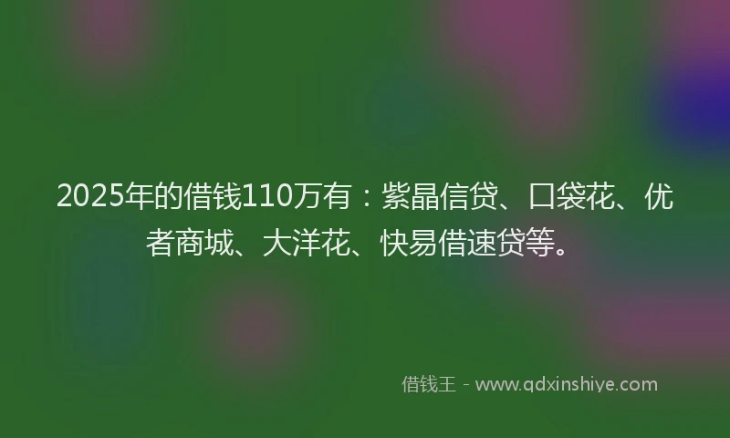 2025年的借钱110万有：紫晶信贷、口袋花、优者商城、大洋花、快易借速贷等。