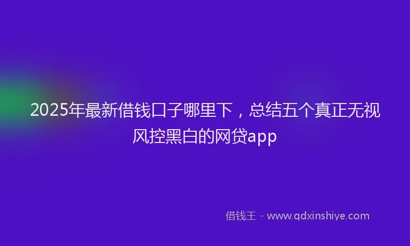 2025年最新借钱口子哪里下，总结五个真正无视风控黑白的网贷app