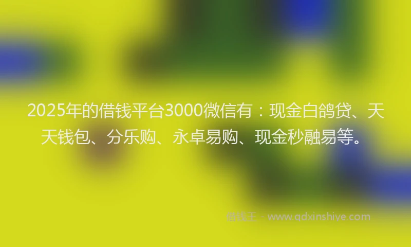 2025年的借钱平台3000微信有：现金白鸽贷、天天钱包、分乐购、永卓易购、现金秒融易等。