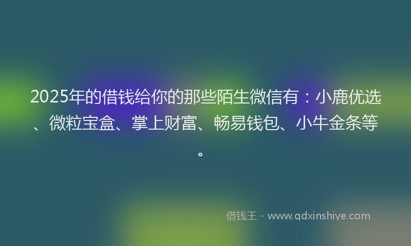 2025年的借钱给你的那些陌生微信有：小鹿优选、微粒宝盒、掌上财富、畅易钱包、小牛金条等。