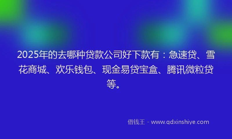 2025年的去哪种贷款公司好下款有：急速贷、雪花商城、欢乐钱包、现金易贷宝盒、腾讯微粒贷等。