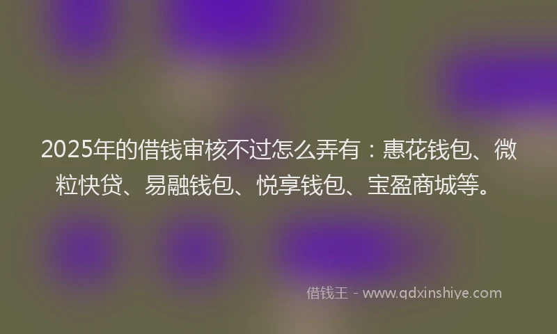 2025年的借钱审核不过怎么弄有：惠花钱包、微粒快贷、易融钱包、悦享钱包、宝盈商城等。