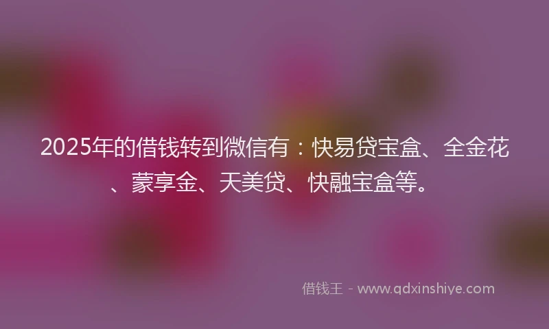 2025年的借钱转到微信有：快易贷宝盒、全金花、蒙享金、天美贷、快融宝盒等。