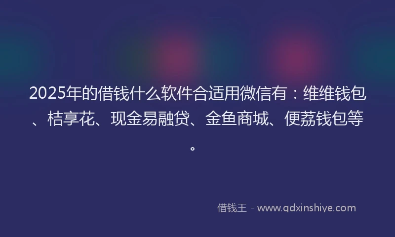 2025年的借钱什么软件合适用微信有：维维钱包、桔享花、现金易融贷、金鱼商城、便荔钱包等。