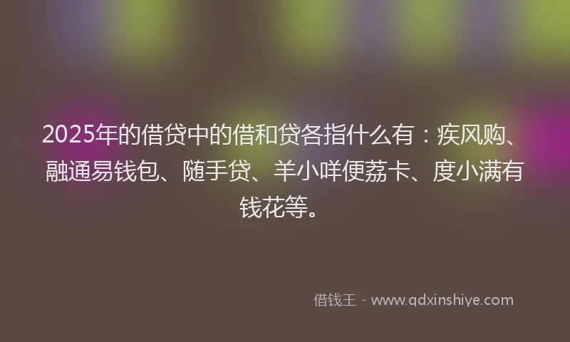 2025年的借贷中的借和贷各指什么有：疾风购、融通易钱包、随手贷、羊小咩便荔卡、度小满有钱花等。