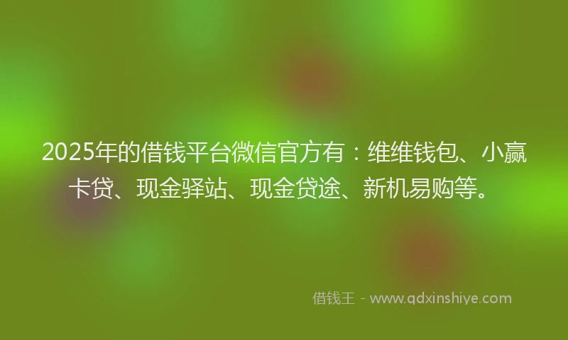 2025年的借钱平台微信官方有：维维钱包、小赢卡贷、现金驿站、现金贷途、新机易购等。