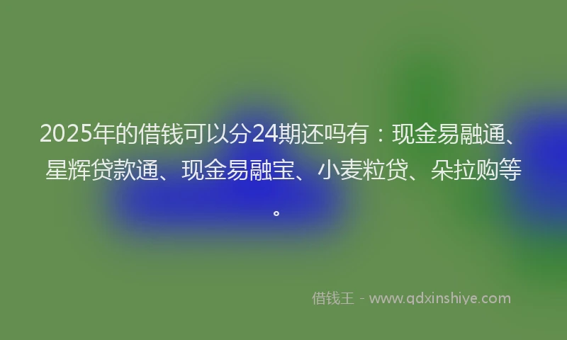 2025年的借钱可以分24期还吗有：现金易融通、星辉贷款通、现金易融宝、小麦粒贷、朵拉购等。
