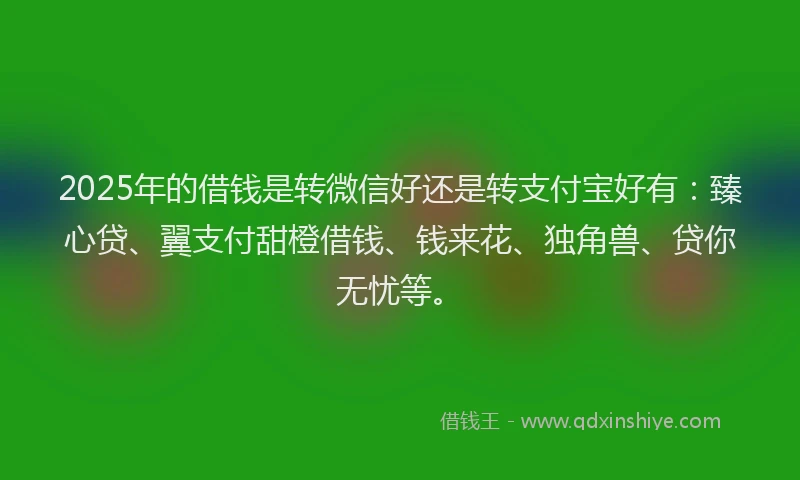2025年的借钱是转微信好还是转支付宝好有：臻心贷、翼支付甜橙借钱、钱来花、独角兽、贷你无忧等。