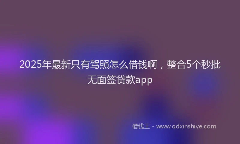 2025年最新只有驾照怎么借钱啊，整合5个秒批无面签贷款app