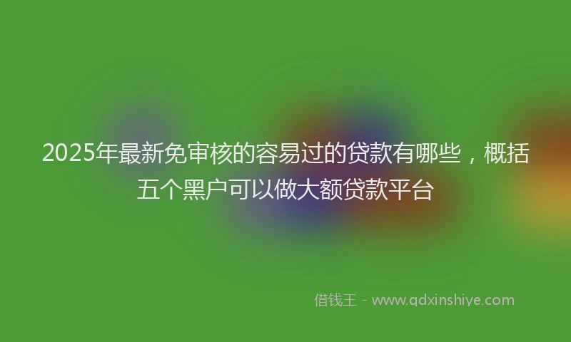 2025年最新免审核的容易过的贷款有哪些，概括五个黑户可以做大额贷款平台