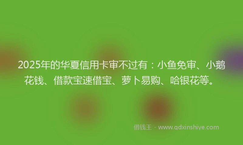 2025年的华夏信用卡审不过有：小鱼免审、小鹅花钱、借款宝速借宝、萝卜易购、哈银花等。