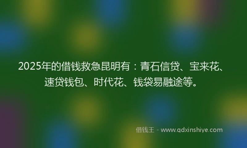 2025年的借钱救急昆明有：青石信贷、宝来花、速贷钱包、时代花、钱袋易融途等。