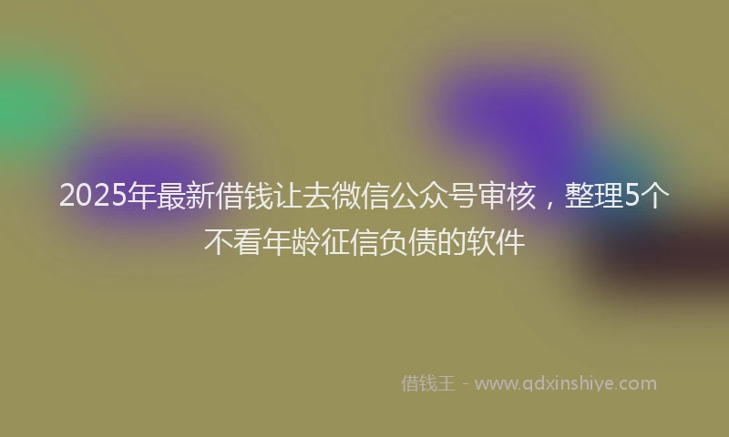 2025年最新借钱让去微信公众号审核，整理5个不看年龄征信负债的软件