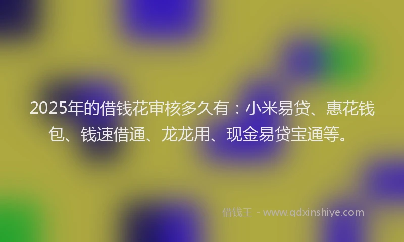 2025年的借钱花审核多久有：小米易贷、惠花钱包、钱速借通、龙龙用、现金易贷宝通等。