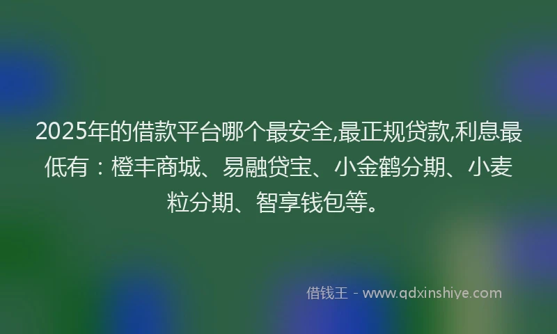 2025年的借款平台哪个最安全,最正规贷款,利息最低有：橙丰商城、易融贷宝、小金鹤分期、小麦粒分期、智享钱包等。