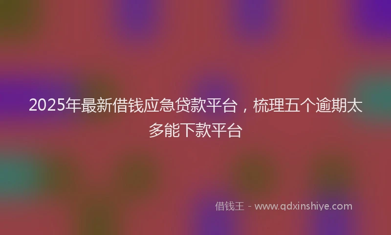 2025年最新借钱应急贷款平台，梳理五个逾期太多能下款平台