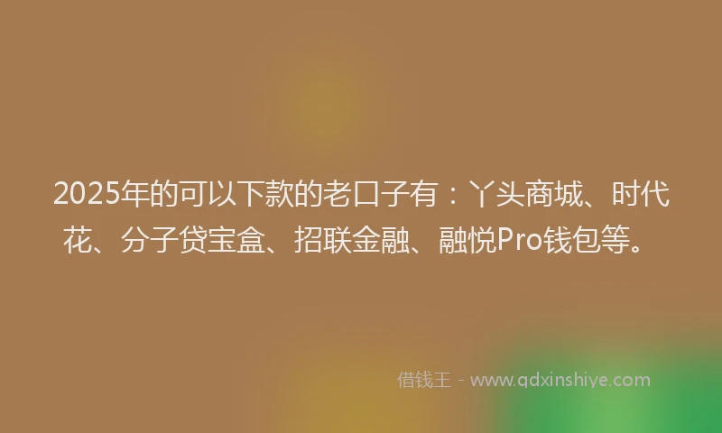 2025年的可以下款的老口子有：丫头商城、时代花、分子贷宝盒、招联金融、融悦Pro钱包等。