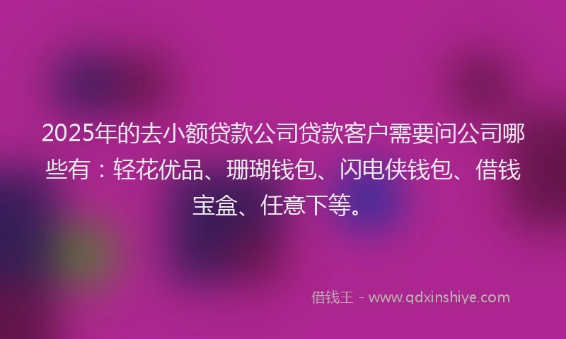 2025年的去小额贷款公司贷款客户需要问公司哪些有：轻花优品、珊瑚钱包、闪电侠钱包、借钱宝盒、任意下等。
