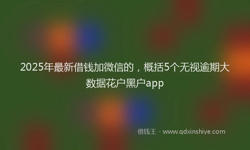 2025年最新借钱加微信的，概括5个无视逾期大数据花户黑户app