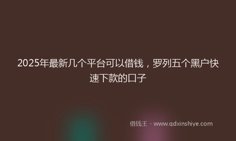 2025年最新几个平台可以借钱，罗列五个黑户快速下款的口子