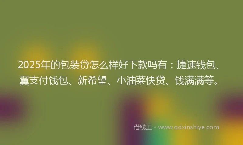 2025年的包装贷怎么样好下款吗有：捷速钱包、翼支付钱包、新希望、小油菜快贷、钱满满等。