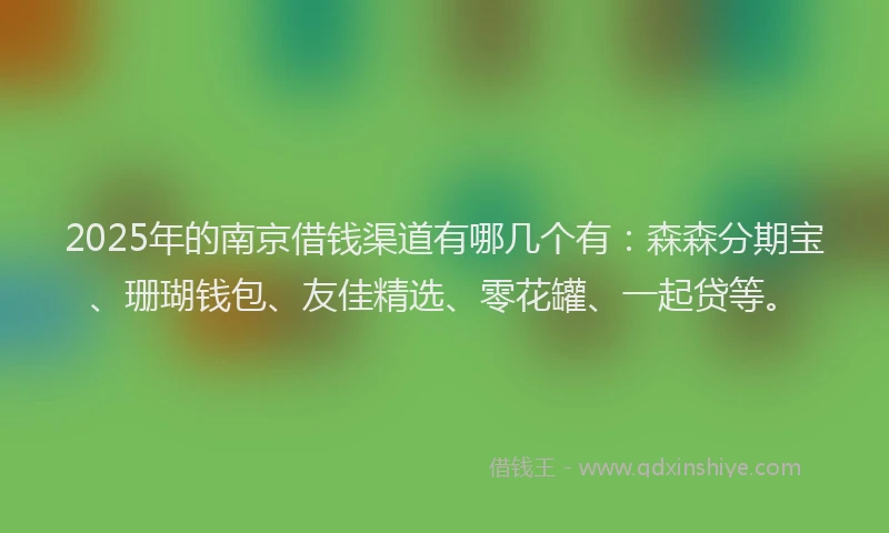 2025年的南京借钱渠道有哪几个有：森森分期宝、珊瑚钱包、友佳精选、零花罐、一起贷等。
