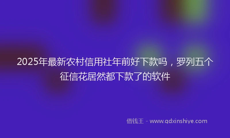 2025年最新农村信用社年前好下款吗，罗列五个征信花居然都下款了的软件