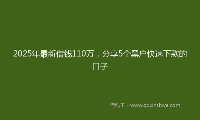 2025年最新借钱110万，分享5个黑户快速下款的口子