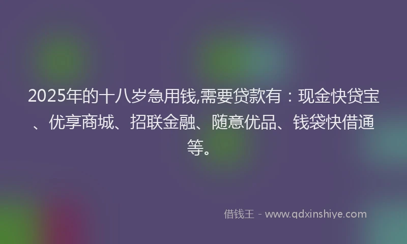2025年的十八岁急用钱,需要贷款有：现金快贷宝、优享商城、招联金融、随意优品、钱袋快借通等。