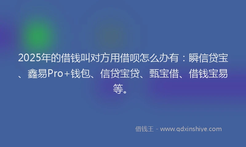 2025年的借钱叫对方用借呗怎么办有：瞬信贷宝、鑫易Pro+钱包、信贷宝贷、甄宝借、借钱宝易等。