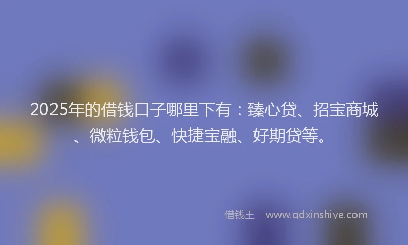 2025年的借钱口子哪里下有：臻心贷、招宝商城、微粒钱包、快捷宝融、好期贷等。