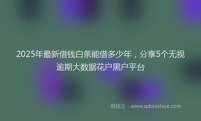 2025年最新借钱白条能借多少年，分享5个无视逾期大数据花户黑户平台