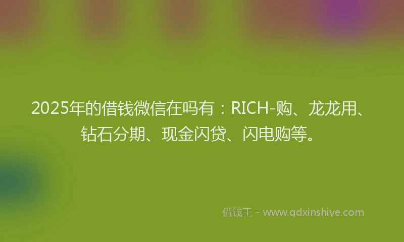 2025年的借钱微信在吗有：RICH-购、龙龙用、钻石分期、现金闪贷、闪电购等。