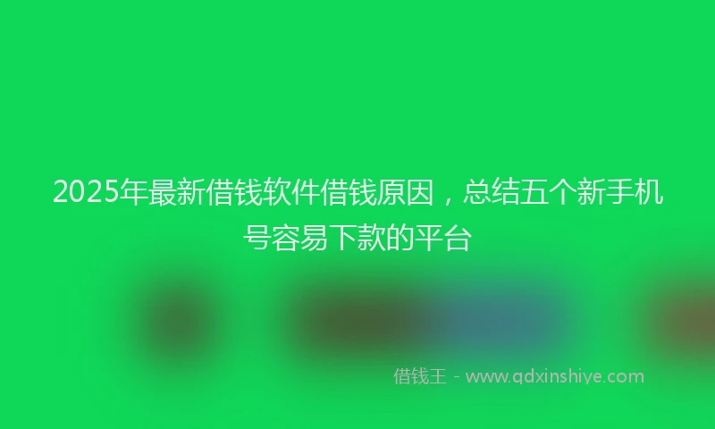 2025年最新借钱软件借钱原因，总结五个新手机号容易下款的平台