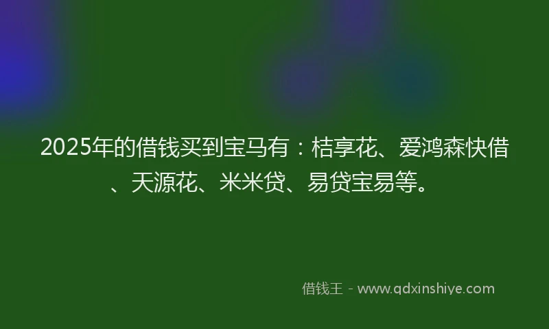 2025年的借钱买到宝马有：桔享花、爱鸿森快借、天源花、米米贷、易贷宝易等。