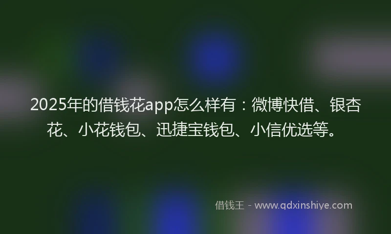 2025年的借钱花app怎么样有：微博快借、银杏花、小花钱包、迅捷宝钱包、小信优选等。