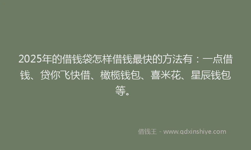 2025年的借钱袋怎样借钱最快的方法有：一点借钱、贷你飞快借、橄榄钱包、喜米花、星辰钱包等。