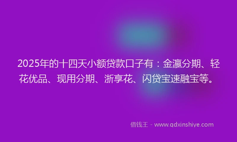 2025年的十四天小额贷款口子有：金瀛分期、轻花优品、现用分期、浙享花、闪贷宝速融宝等。