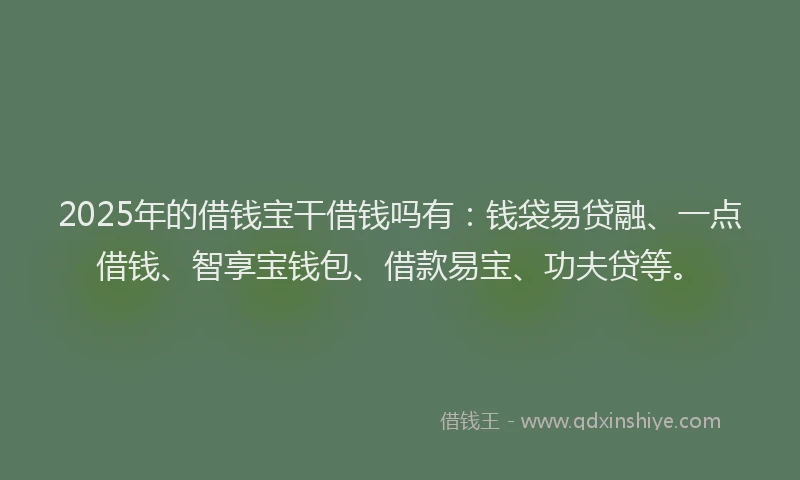 2025年的借钱宝干借钱吗有：钱袋易贷融、一点借钱、智享宝钱包、借款易宝、功夫贷等。