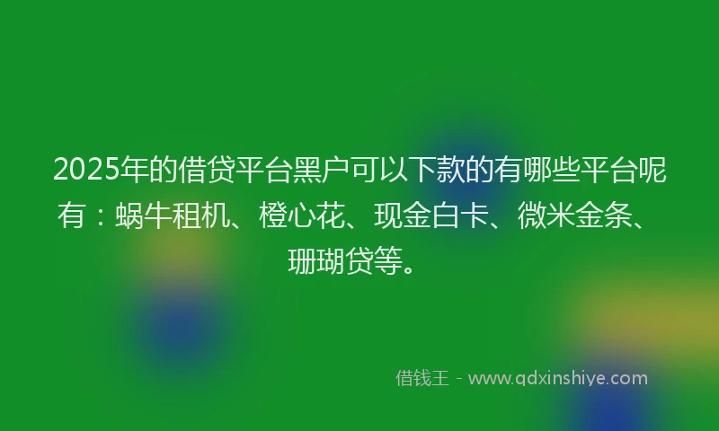 2025年的借贷平台黑户可以下款的有哪些平台呢有：蜗牛租机、橙心花、现金白卡、微米金条、珊瑚贷等。