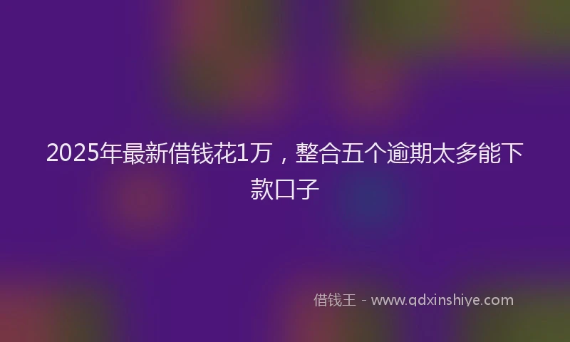 2025年最新借钱花1万，整合五个逾期太多能下款口子