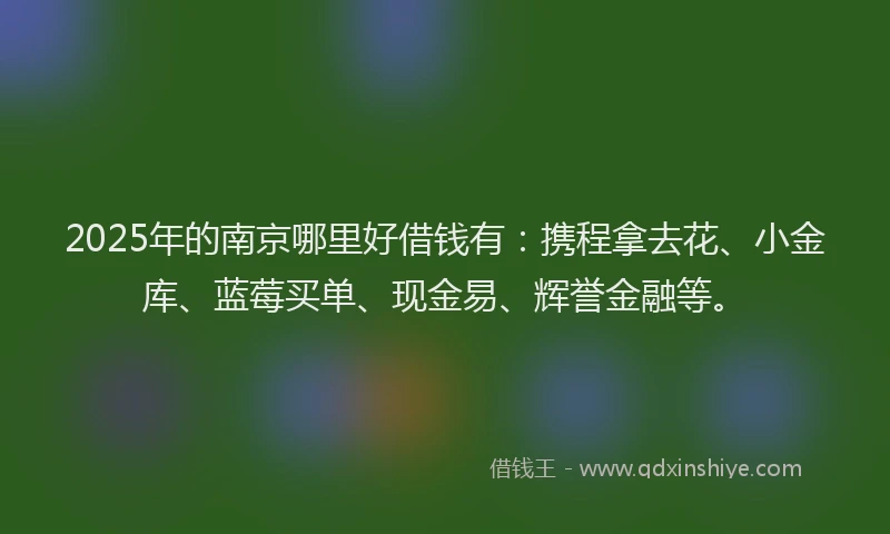 2025年的南京哪里好借钱有：携程拿去花、小金库、蓝莓买单、现金易、辉誉金融等。