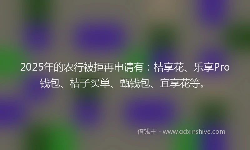 2025年的农行被拒再申请有：桔享花、乐享Pro钱包、桔子买单、甄钱包、宜享花等。