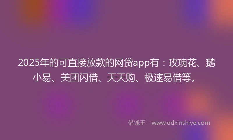 2025年的可直接放款的网贷app有：玫瑰花、鹅小易、美团闪借、天天购、极速易借等。