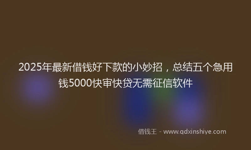 2025年最新借钱好下款的小妙招，总结五个急用钱5000快审快贷无需征信软件